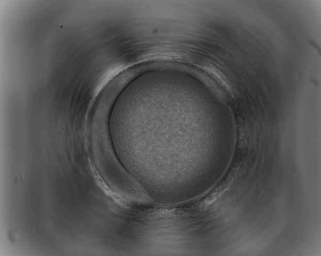 X0000091721038200708311134