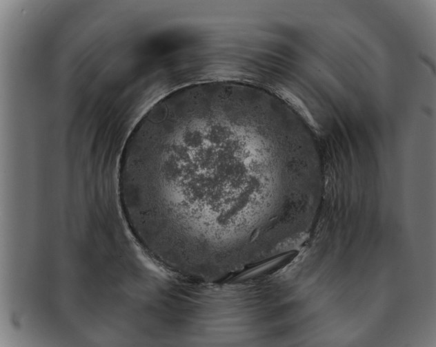 X0000091721039200708311134