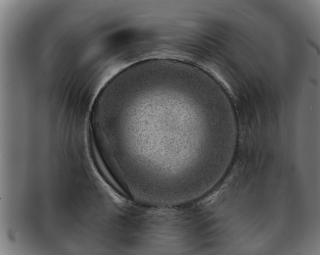 X0000091721040200708311134