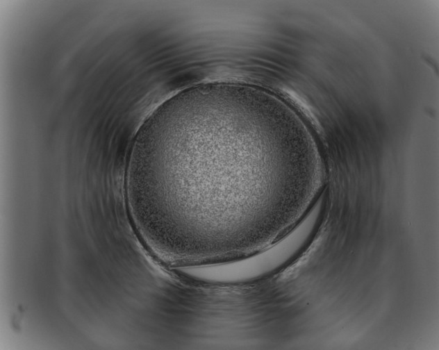 X0000091721041200708311134