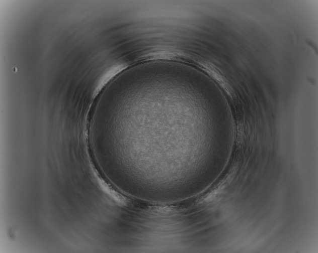 X0000091721042200708311134