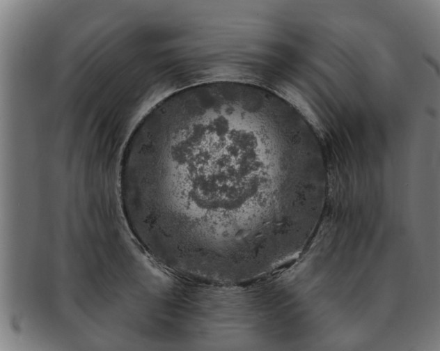 X0000091721043200708311134