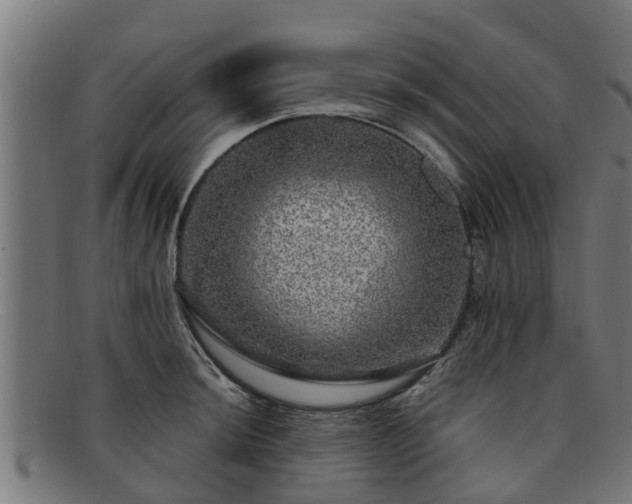 X0000091721044200708311134