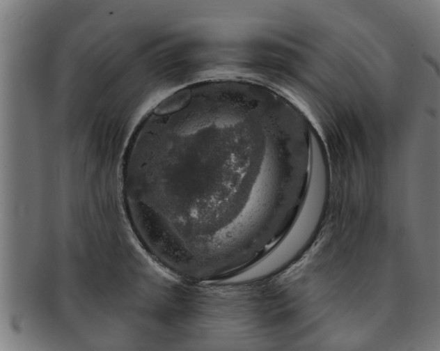 X0000091721045200708311134