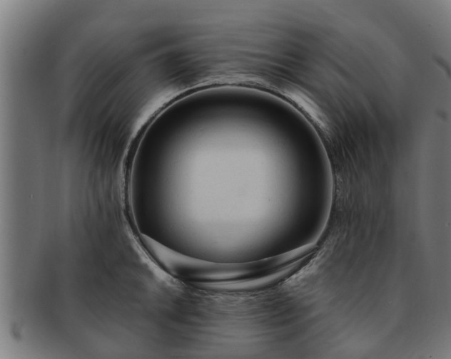 X0000091721046200708311134