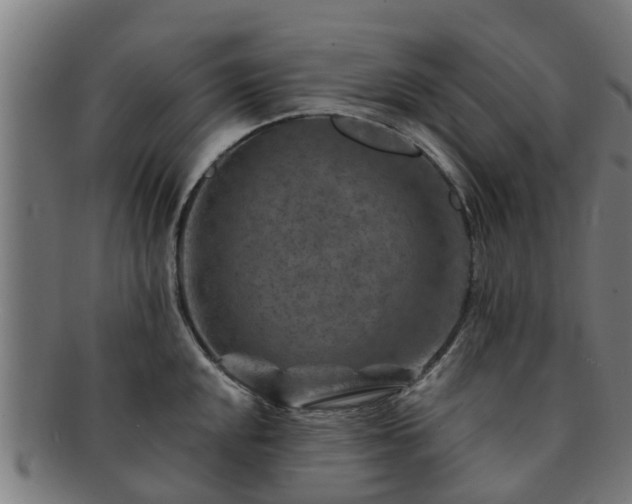 X0000091721048200708311134