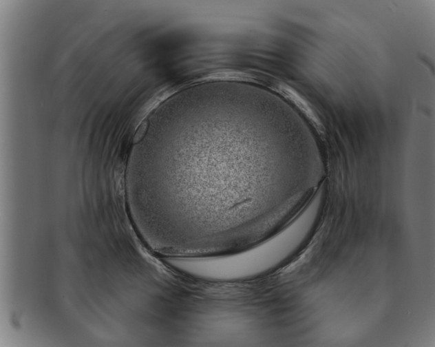 X0000091721049200708311134