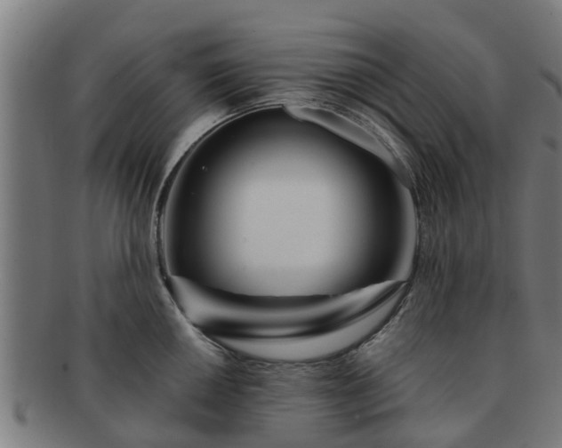 X0000091721050200708311134