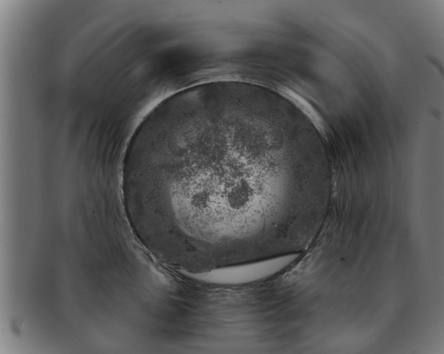 X0000091721051200708311134