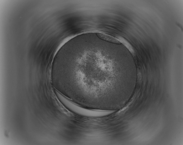 X0000091721052200708311134