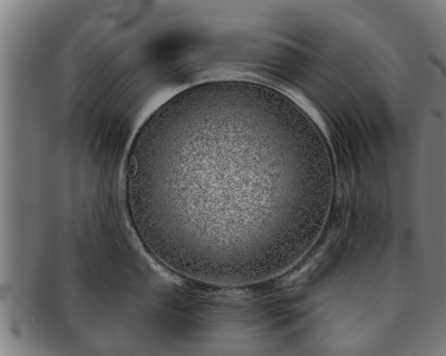 X0000091721053200708311134