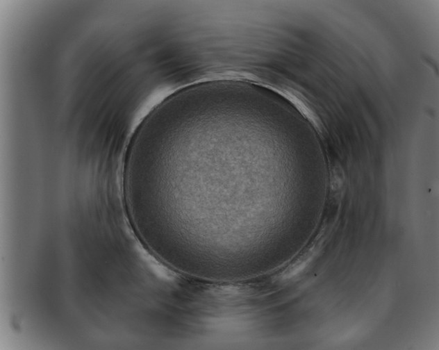 X0000091721054200708311134