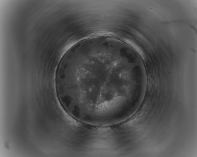 X0000091721055200708311134