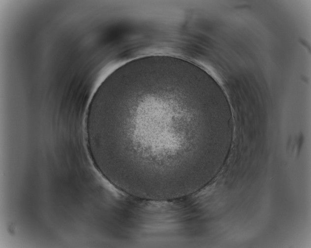 X0000091721056200708311134