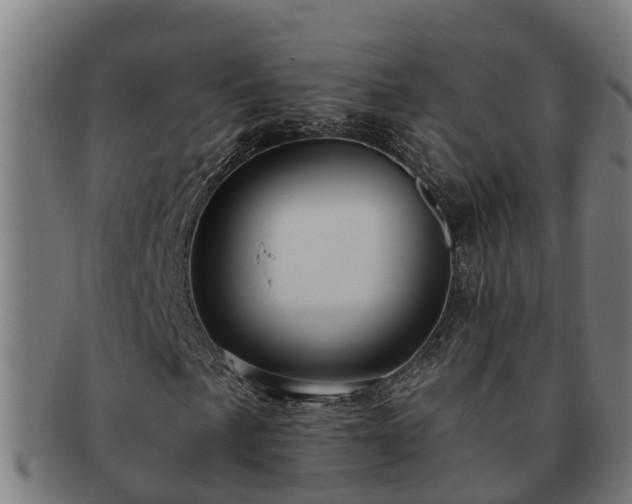 X0000091721057200708311133