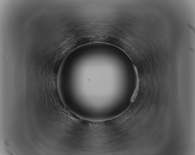 X0000091721058200708311133