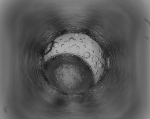 X0000091721059200708311133