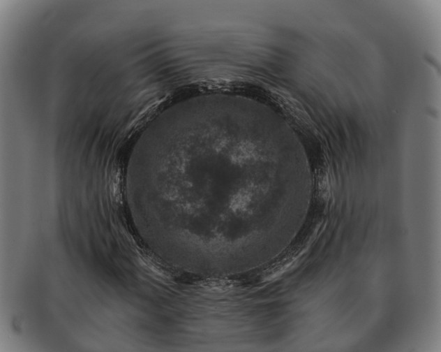 X0000091721060200708311133