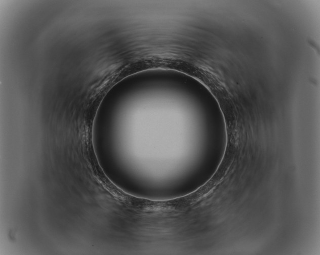 X0000091721061200708311133