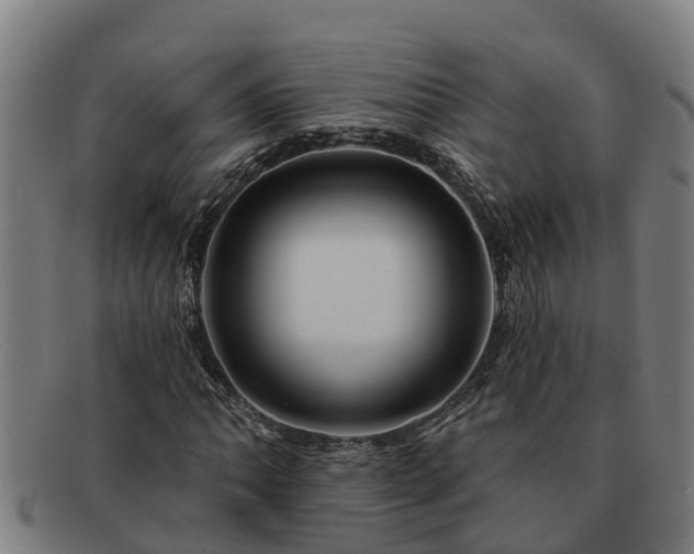 X0000091721062200708311133