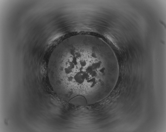 X0000091721063200708311133