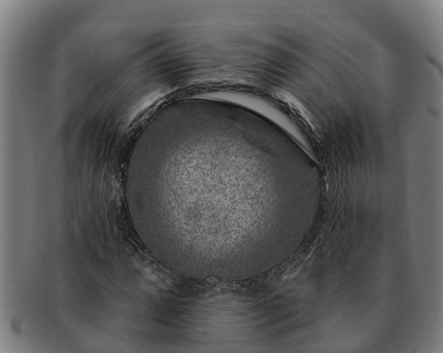 X0000091721064200708311133