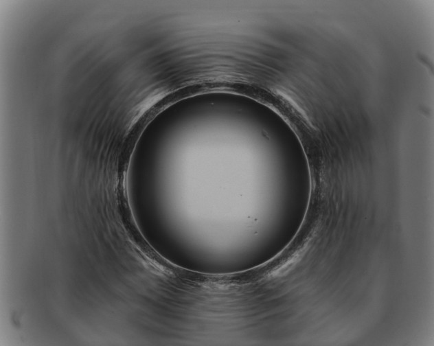 X0000091721065200708311133