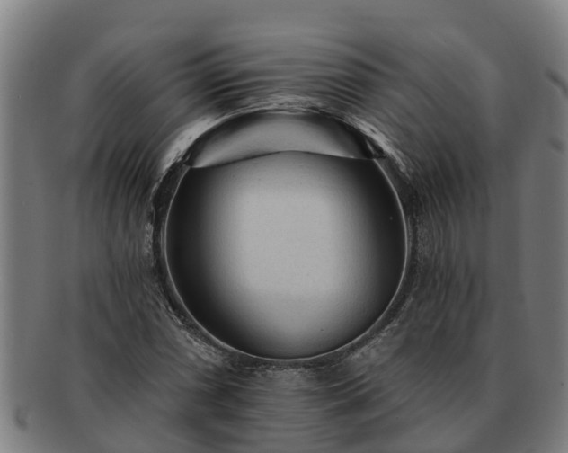 X0000091721066200708311133