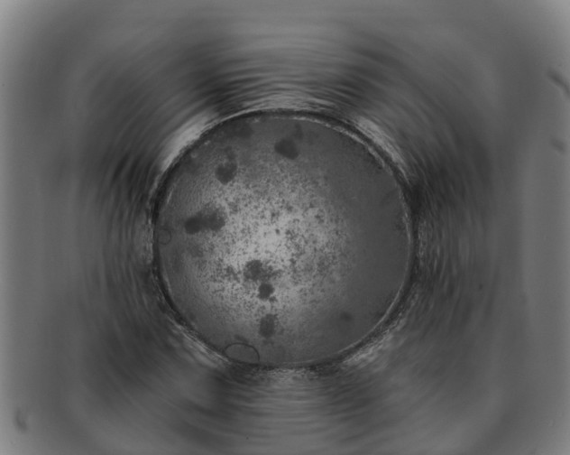 X0000091721067200708311133