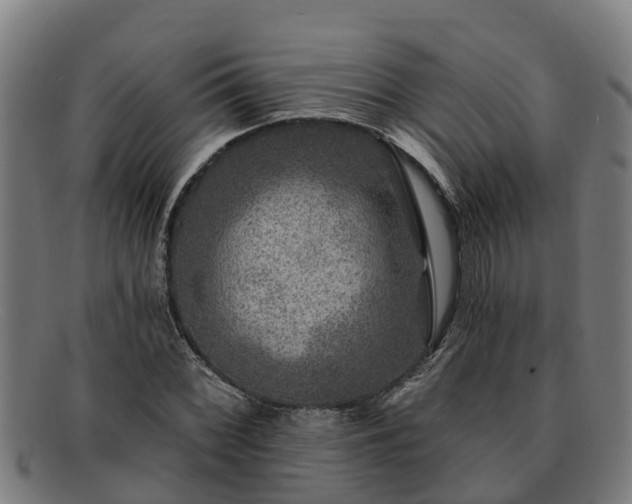 X0000091721068200708311133