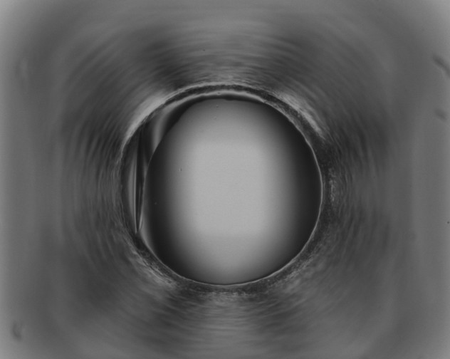 X0000091721069200708311133