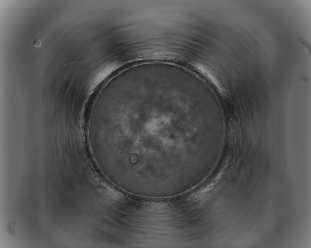 X0000091721071200708311133