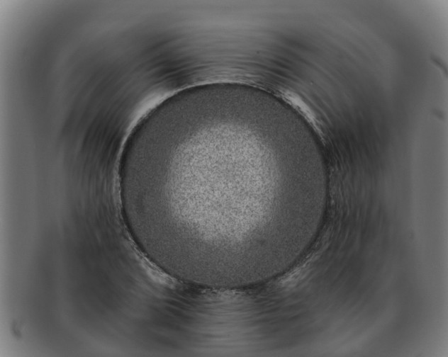 X0000091721072200708311133