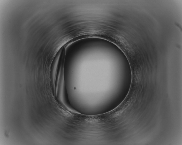 X0000091721073200708311133