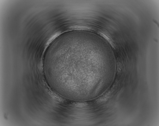 X0000091721074200708311133