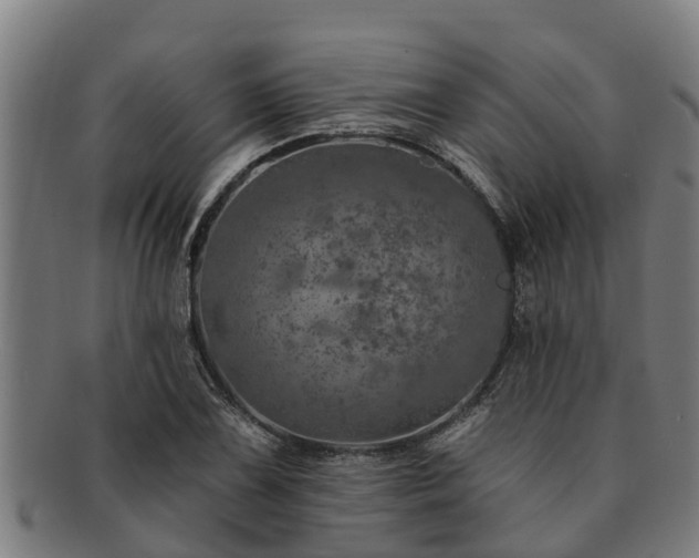 X0000091721075200708311133