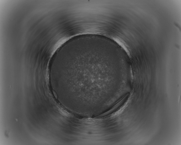 X0000091721077200708311133