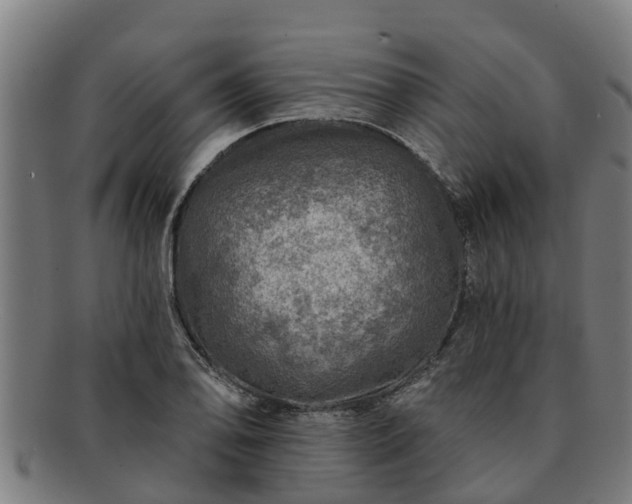 X0000091721078200708311133