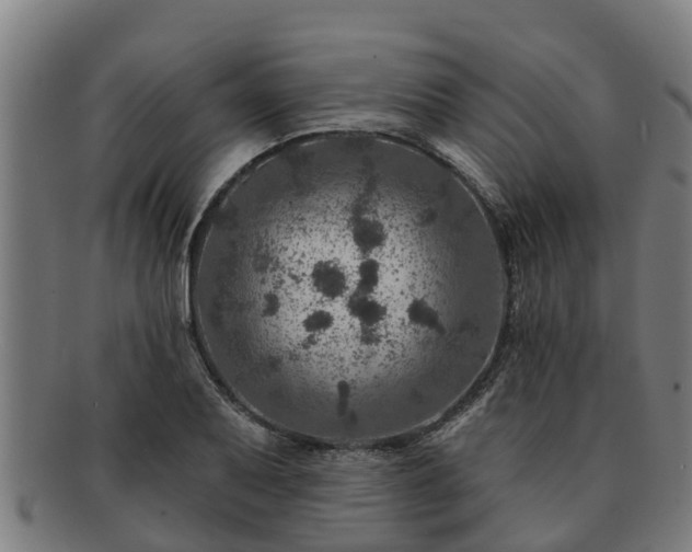 X0000091721079200708311133