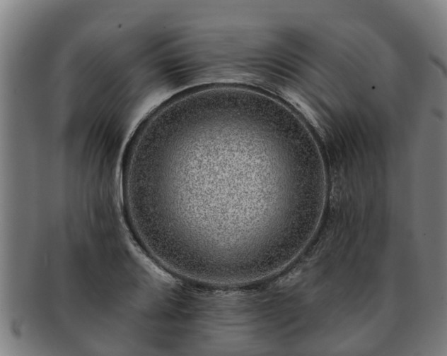 X0000091721080200708311133