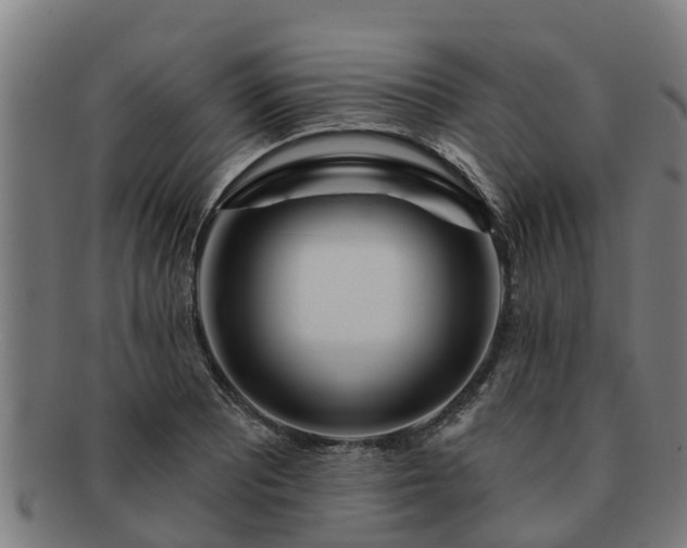 X0000091721081200708311133