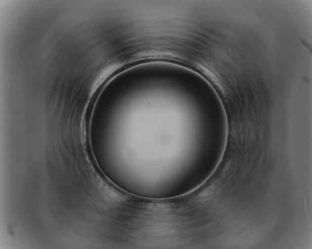 X0000091721082200708311133