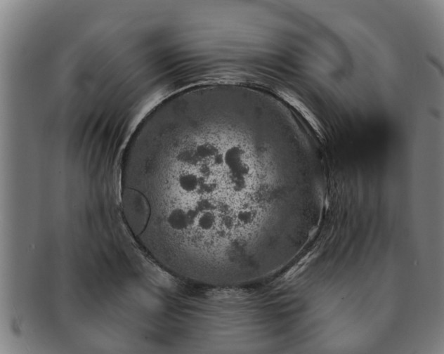 X0000091721083200708311133