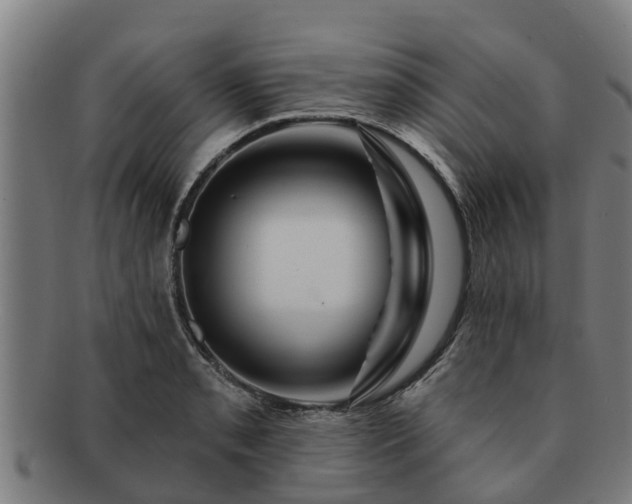 X0000091721085200708311133