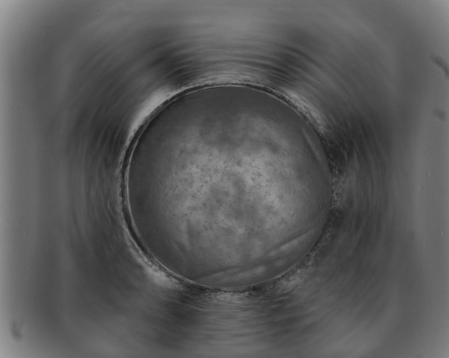 X0000091721086200708311132