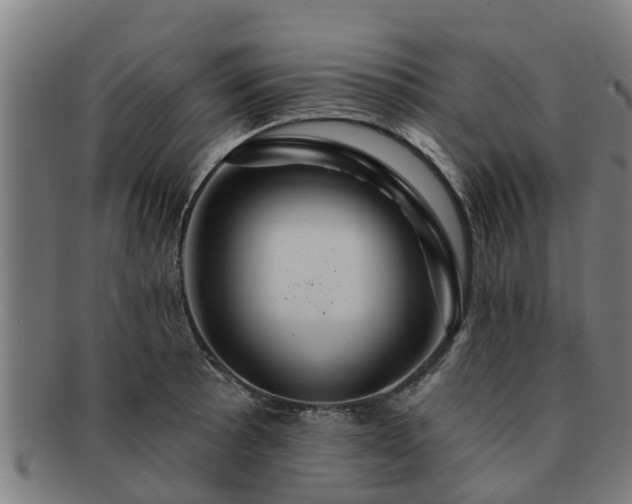 X0000091721089200708311132