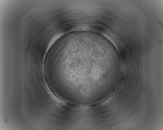 X0000091721090200708311132