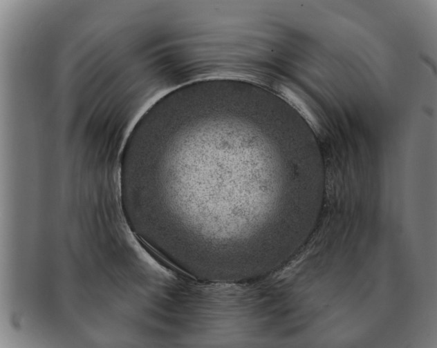 X0000091721092200708311132