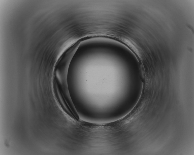 X0000091721093200708311132