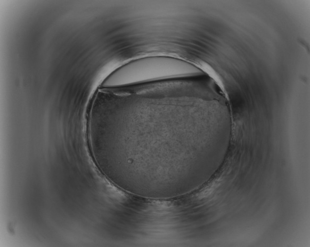 X0000091721096200708311132